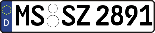 MS-SZ2891