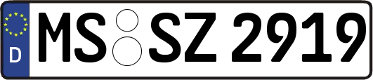 MS-SZ2919