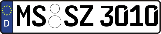 MS-SZ3010