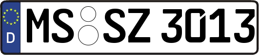 MS-SZ3013