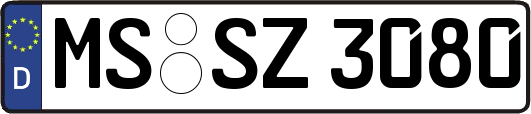 MS-SZ3080