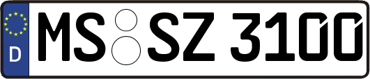 MS-SZ3100