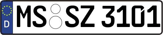 MS-SZ3101