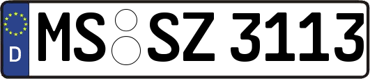 MS-SZ3113