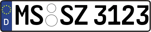 MS-SZ3123