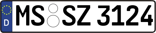 MS-SZ3124