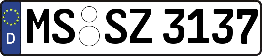 MS-SZ3137