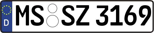 MS-SZ3169