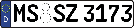 MS-SZ3173