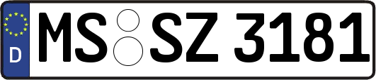 MS-SZ3181