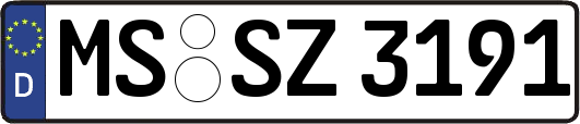 MS-SZ3191