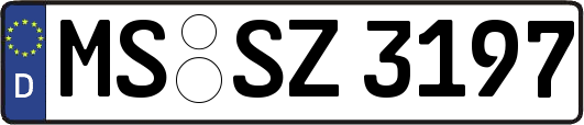 MS-SZ3197