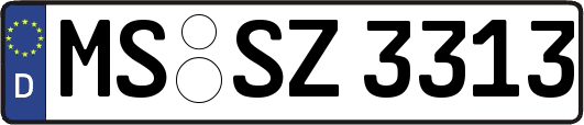 MS-SZ3313