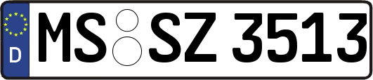 MS-SZ3513