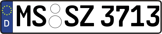 MS-SZ3713