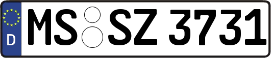 MS-SZ3731