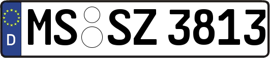 MS-SZ3813