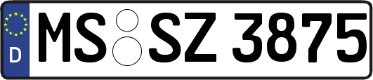 MS-SZ3875