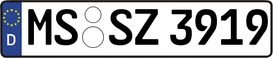 MS-SZ3919