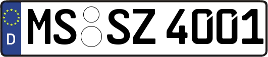 MS-SZ4001