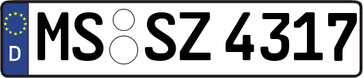 MS-SZ4317