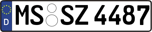MS-SZ4487