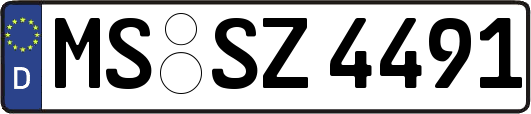 MS-SZ4491