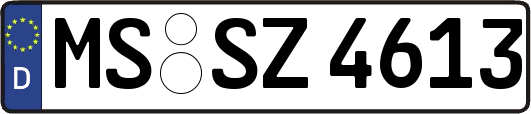 MS-SZ4613