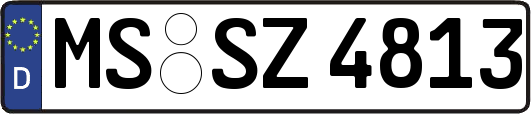 MS-SZ4813