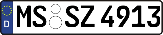 MS-SZ4913