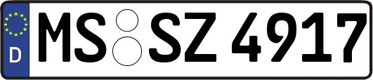 MS-SZ4917