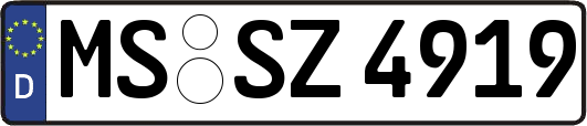 MS-SZ4919