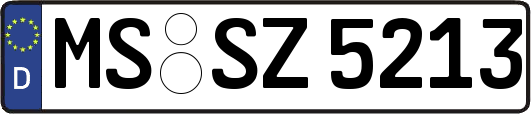 MS-SZ5213