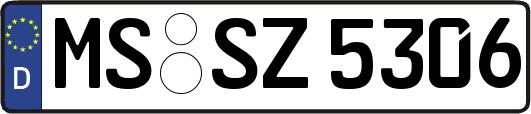 MS-SZ5306