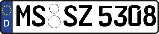 MS-SZ5308