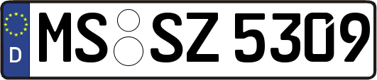 MS-SZ5309