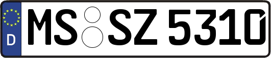 MS-SZ5310