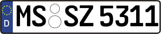 MS-SZ5311