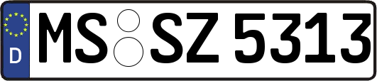 MS-SZ5313