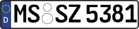 MS-SZ5381