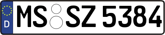 MS-SZ5384