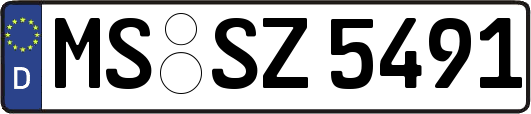 MS-SZ5491