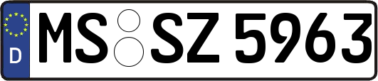 MS-SZ5963