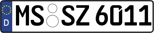 MS-SZ6011