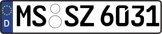 MS-SZ6031