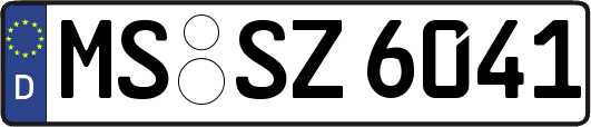 MS-SZ6041
