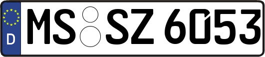 MS-SZ6053