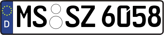 MS-SZ6058