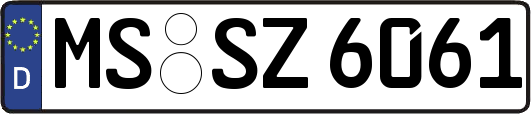 MS-SZ6061