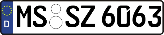 MS-SZ6063